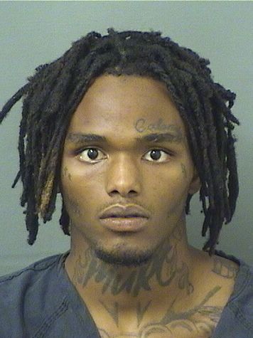  MICHAEL PHILLIP KING Results from Palm Beach County Florida for  MICHAEL PHILLIP KING