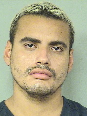  SERGIO ELIASE MEDINA Resultados de la busqueda para Palm Beach County Florida para  SERGIO ELIASE MEDINA