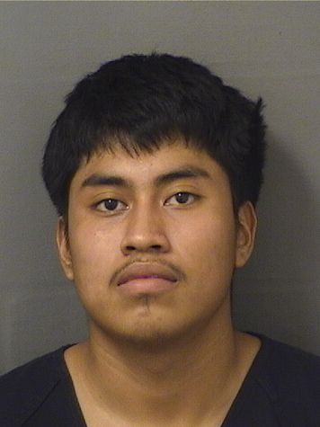  JOSUE JESUSMEJIA Results from Palm Beach County Florida for  JOSUE JESUSMEJIA