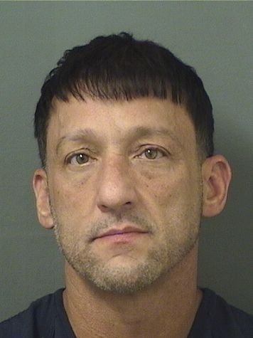  MICHAEL FRANCIS BOGDAN Results from Palm Beach County Florida for  MICHAEL FRANCIS BOGDAN