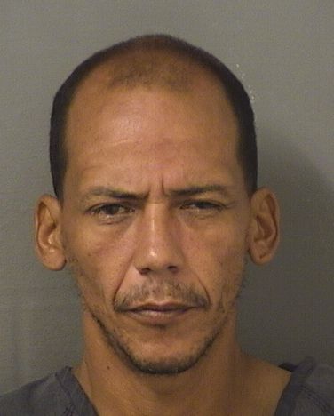  KELVIN RADAMES CARREROSAGARDIA Results from Palm Beach County Florida for  KELVIN RADAMES CARREROSAGARDIA