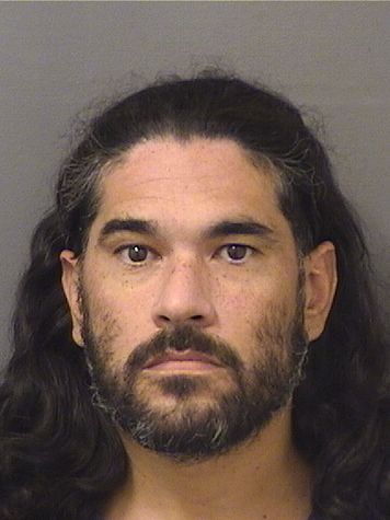 ALFREDO MODESTO APONTE Results from Palm Beach County Florida for  ALFREDO MODESTO APONTE