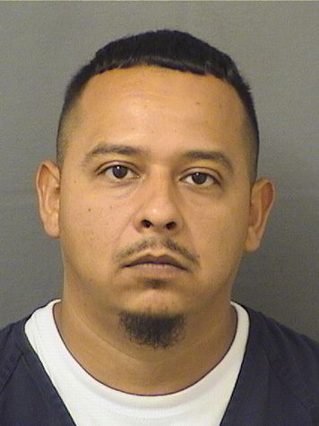  THOMAS CHRISTOPHER CASTILLO Results from Palm Beach County Florida for  THOMAS CHRISTOPHER CASTILLO