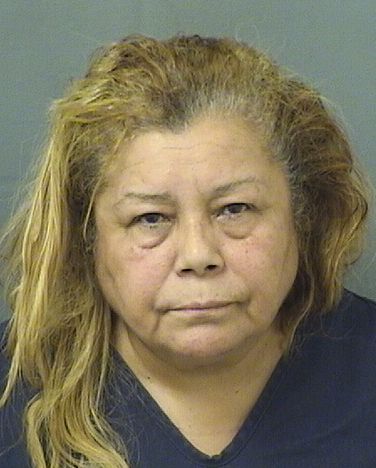  REGINA DELGADO Results from Palm Beach County Florida for  REGINA DELGADO