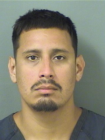  LORENZO ANTONIO LOPEZMARIN Results from Palm Beach County Florida for  LORENZO ANTONIO LOPEZMARIN