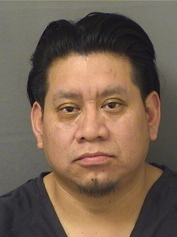  YOVANI SECUNDINO MATZIR LOPEZ Results from Palm Beach County Florida for  YOVANI SECUNDINO MATZIR LOPEZ