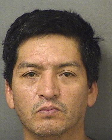  HENRY MARTINEZ Results from Palm Beach County Florida for  HENRY MARTINEZ