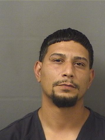  RAMON JAVIER RIVERARODRIGUEZ Results from Palm Beach County Florida for  RAMON JAVIER RIVERARODRIGUEZ