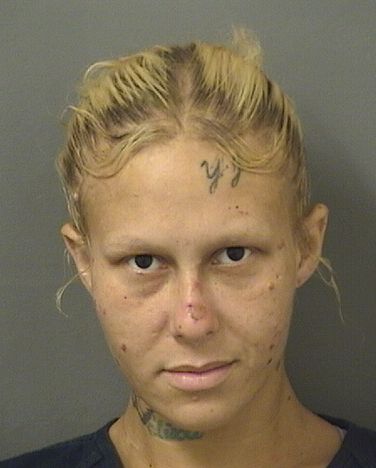  SARAH NICOLE PERRY Results from Palm Beach County Florida for  SARAH NICOLE PERRY