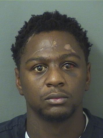 JULIUS CESAR CONNORS Results from Palm Beach County Florida for  JULIUS CESAR CONNORS
