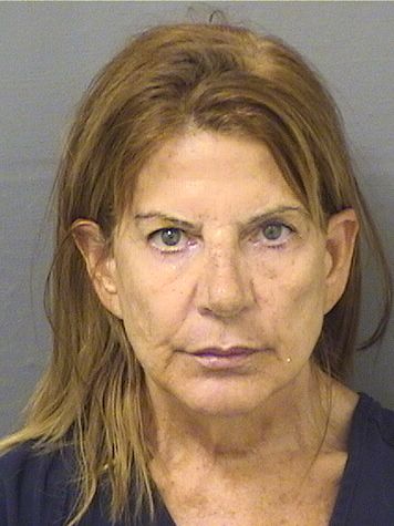  ALINA ELSALHY Results from Palm Beach County Florida for  ALINA ELSALHY