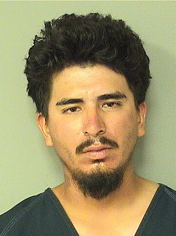  DIEGO ENRIQUE FONSECA Results from Palm Beach County Florida for  DIEGO ENRIQUE FONSECA
