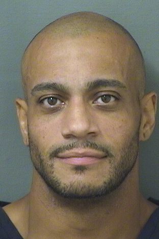 LUIS ALBERTO HERNANDEZ Results from Palm Beach County Florida for  LUIS ALBERTO HERNANDEZ