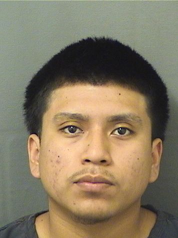  KANE GOMEZGOMEZ Results from Palm Beach County Florida for  KANE GOMEZGOMEZ