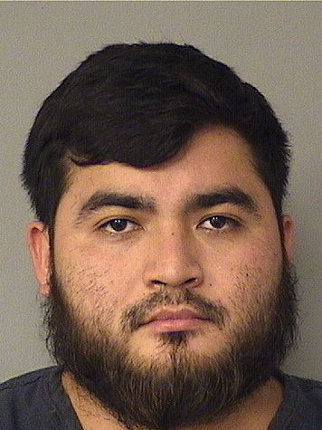  JOSE ANTONIO CASTILLORODRIGUEZ Results from Palm Beach County Florida for  JOSE ANTONIO CASTILLORODRIGUEZ