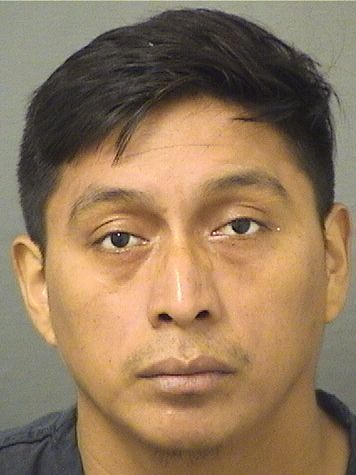  JESUS FRANCISCO ESTEBANMIGUEL Results from Palm Beach County Florida for  JESUS FRANCISCO ESTEBANMIGUEL