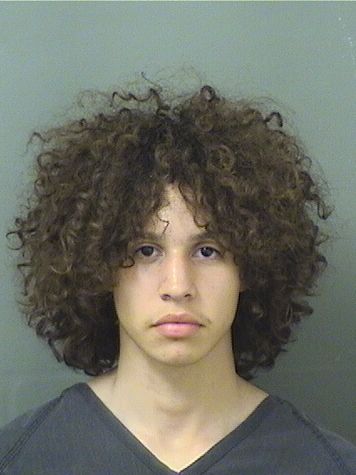  MATTHEW SCOTT Results from Palm Beach County Florida for  MATTHEW SCOTT