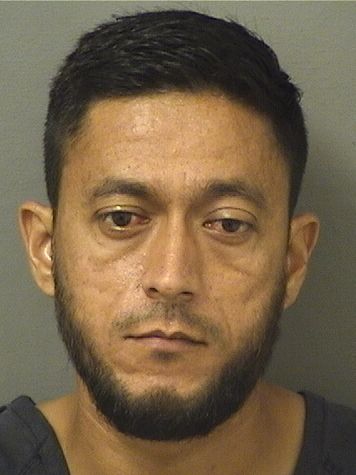  MIGUEL REYESLOEZA Results from Palm Beach County Florida for  MIGUEL REYESLOEZA