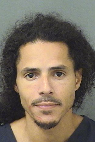  JULIAN CONCEPCION Results from Palm Beach County Florida for  JULIAN CONCEPCION