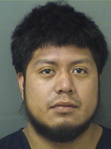  DEYNER GAMALIEL BARTOLON PEREZ Results from Palm Beach County Florida for  DEYNER GAMALIEL BARTOLON PEREZ
