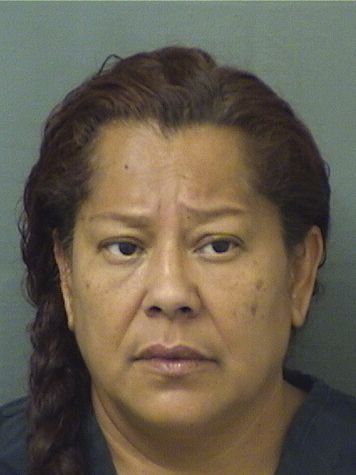  BERTA VANESSA VALLE Results from Palm Beach County Florida for  BERTA VANESSA VALLE
