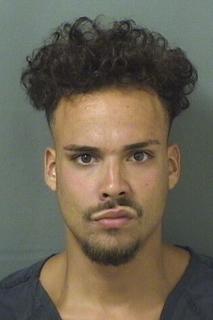  PEDRO ALVAREZ Results from Palm Beach County Florida for  PEDRO ALVAREZ