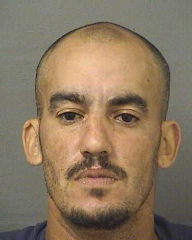  GREGORY V SCARLATO Results from Palm Beach County Florida for  GREGORY V SCARLATO