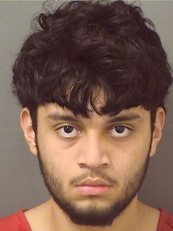  JAESON JOSUE MERCADOFELIPE Results from Palm Beach County Florida for  JAESON JOSUE MERCADOFELIPE