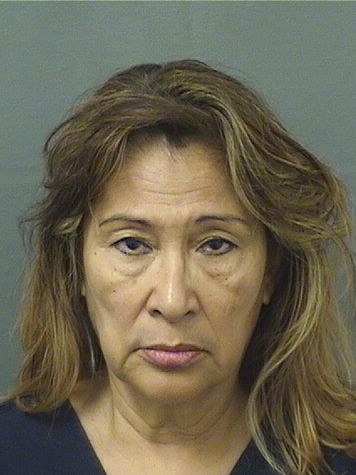  ANA CECILIA CASTILLOGOMEZ Results from Palm Beach County Florida for  ANA CECILIA CASTILLOGOMEZ