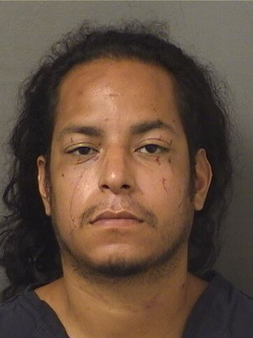  MOISES BENJAMIN MOJICAPEREZ Results from Palm Beach County Florida for  MOISES BENJAMIN MOJICAPEREZ