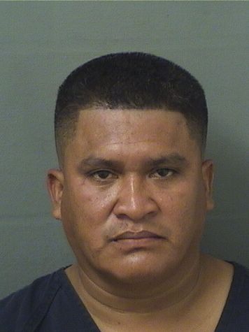 FRANCISCO MICHELERISTON Results from Palm Beach County Florida for  FRANCISCO MICHELERISTON
