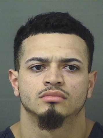  XAVIER DANGELO AGOSTO Results from Palm Beach County Florida for  XAVIER DANGELO AGOSTO