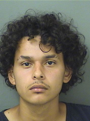  RANDY SAGAHON Results from Palm Beach County Florida for  RANDY SAGAHON