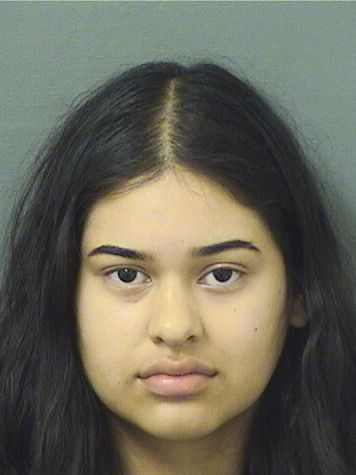  SOFIA ALESSANDRA CHACONCHAVEZ Results from Palm Beach County Florida for  SOFIA ALESSANDRA CHACONCHAVEZ