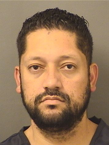  GUSTAVO ADOLFO LARA SUAZO Results from Palm Beach County Florida for  GUSTAVO ADOLFO LARA SUAZO