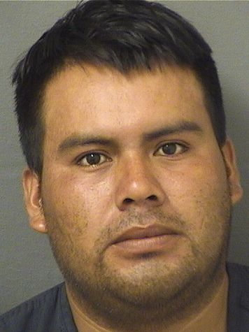  FRANCISCO ORDONEZ HERNANDEZ Results from Palm Beach County Florida for  FRANCISCO ORDONEZ HERNANDEZ