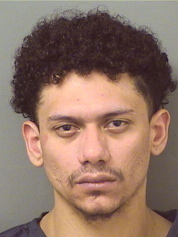  ADERLY GABRIEL ARACENA Results from Palm Beach County Florida for  ADERLY GABRIEL ARACENA