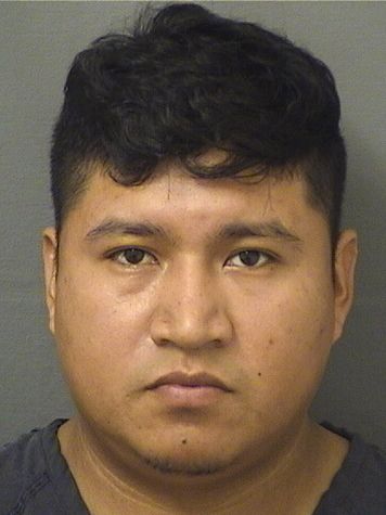 DONIS YANCARLO CHOCPUM Results from Palm Beach County Florida for  DONIS YANCARLO CHOCPUM
