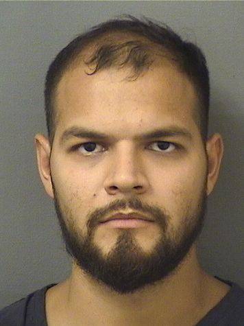  ABRAHAN E SANTAELLARANGEL Results from Palm Beach County Florida for  ABRAHAN E SANTAELLARANGEL
