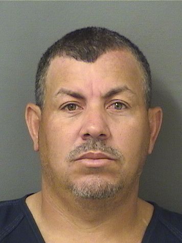  YANS JORGE GALLARDOGARCIA Results from Palm Beach County Florida for  YANS JORGE GALLARDOGARCIA
