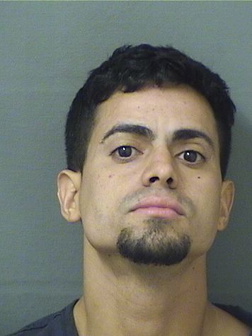  JOSE M SUAREZ Results from Palm Beach County Florida for  JOSE M SUAREZ