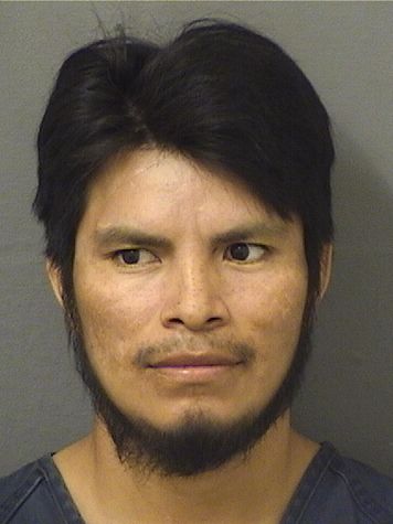  DELFIDIO PEREZ Results from Palm Beach County Florida for  DELFIDIO PEREZ