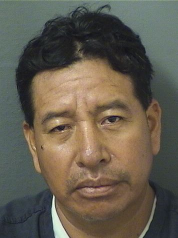  HUGO RIQUEL VELASQUEZVELASQUEZ Results from Palm Beach County Florida for  HUGO RIQUEL VELASQUEZVELASQUEZ