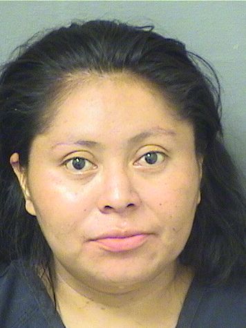  ADELINA DOMINGOMALDONADO Resultados de la busqueda para Palm Beach County Florida para  ADELINA DOMINGOMALDONADO