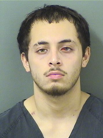  ARGENIS MARTINEZ Results from Palm Beach County Florida for  ARGENIS MARTINEZ