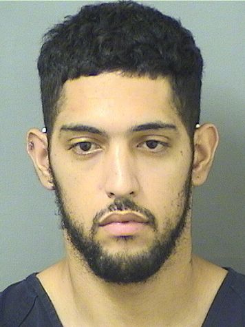 RAUL JOSHUA HERNANDEZ Results from Palm Beach County Florida for  RAUL JOSHUA HERNANDEZ