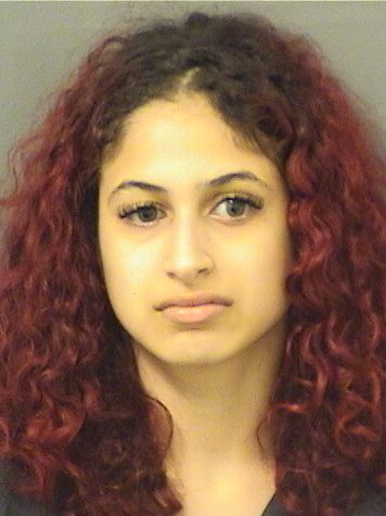  DARALYN ANGELICA GARCIA Results from Palm Beach County Florida for  DARALYN ANGELICA GARCIA