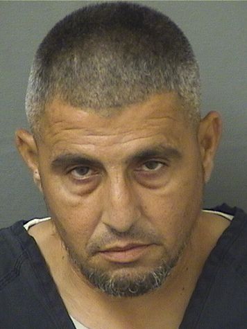  MICHAEL COMO Results from Palm Beach County Florida for  MICHAEL COMO