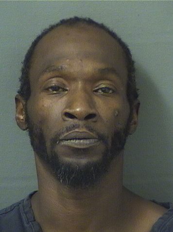  TAVARES GIBSON Photo
