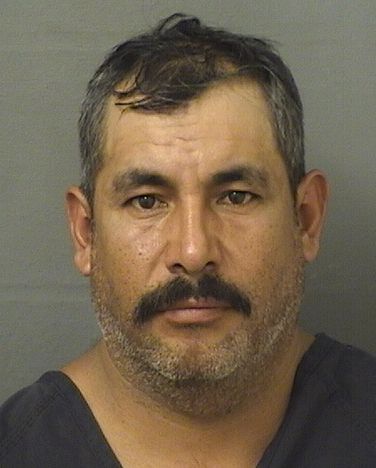  RAMON NIETORODRIGUEZ Results from Palm Beach County Florida for  RAMON NIETORODRIGUEZ
